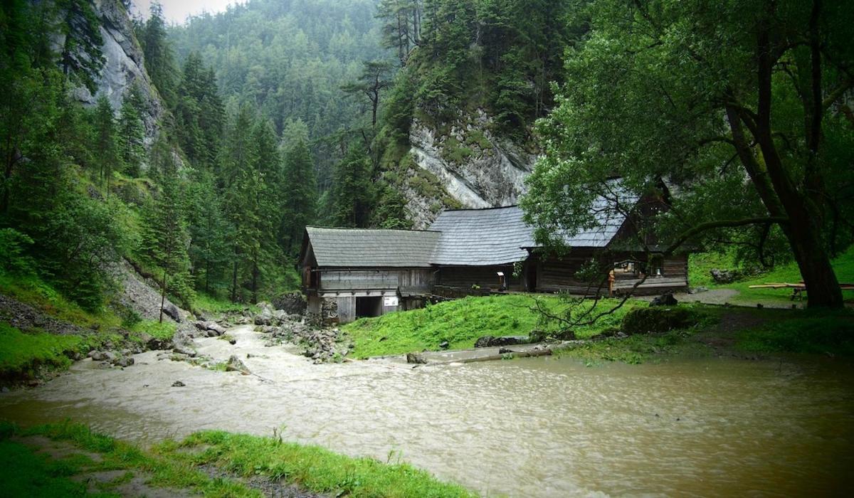 Prazdninove Byty U Kamarata Habovka Exterior foto