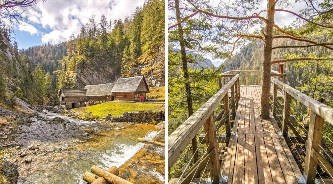 Prazdninove Byty U Kamarata Habovka Exterior foto