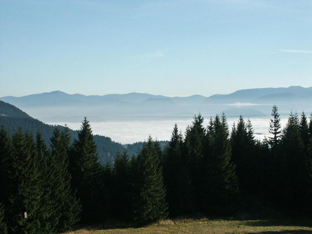 Prazdninove Byty U Kamarata Habovka Exterior foto